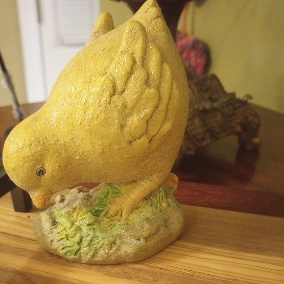 Baby Chicks - Picture 3 of 7